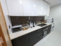 Esparina Residences (D19), Condominium #581897091